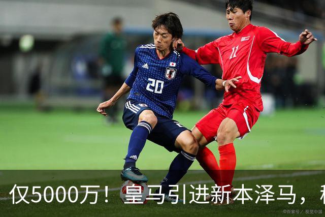 仅5000万！皇马引进新本泽马，穆帅4231战术升级，瞄准西甲欧冠双冠