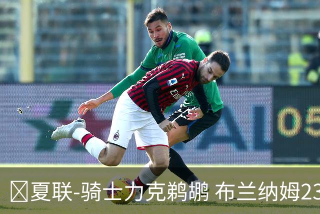 🏀夏联-骑士力克鹈鹕 布兰纳姆23分 马奎斯·诺威尔三分11中2